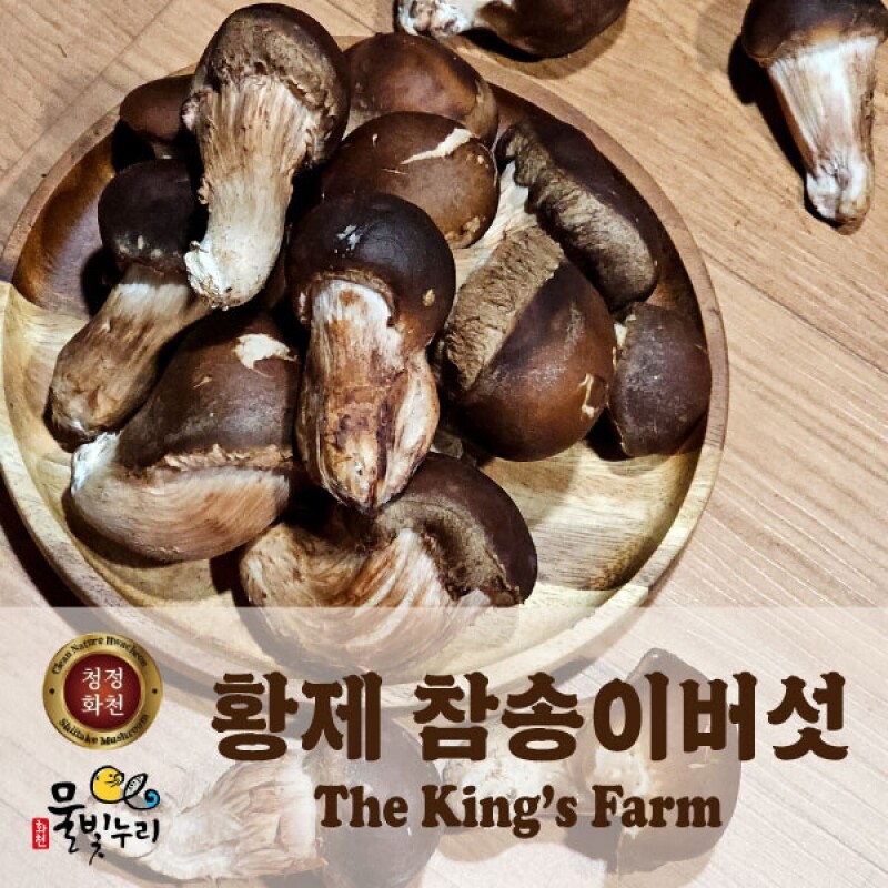 더킹스팜,황제 참송이버섯 가정용 1kg
